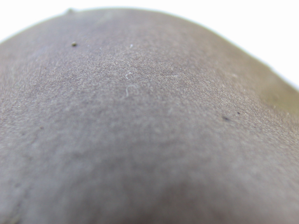 Novit� per .... me : QUIZZZZ